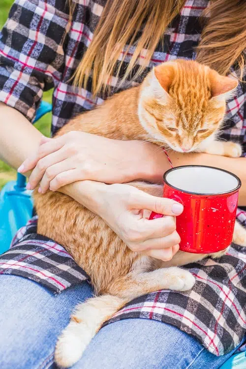 se aceptan animales de acampada