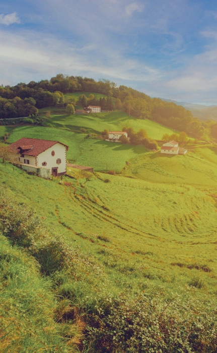 Green countryside and white houses