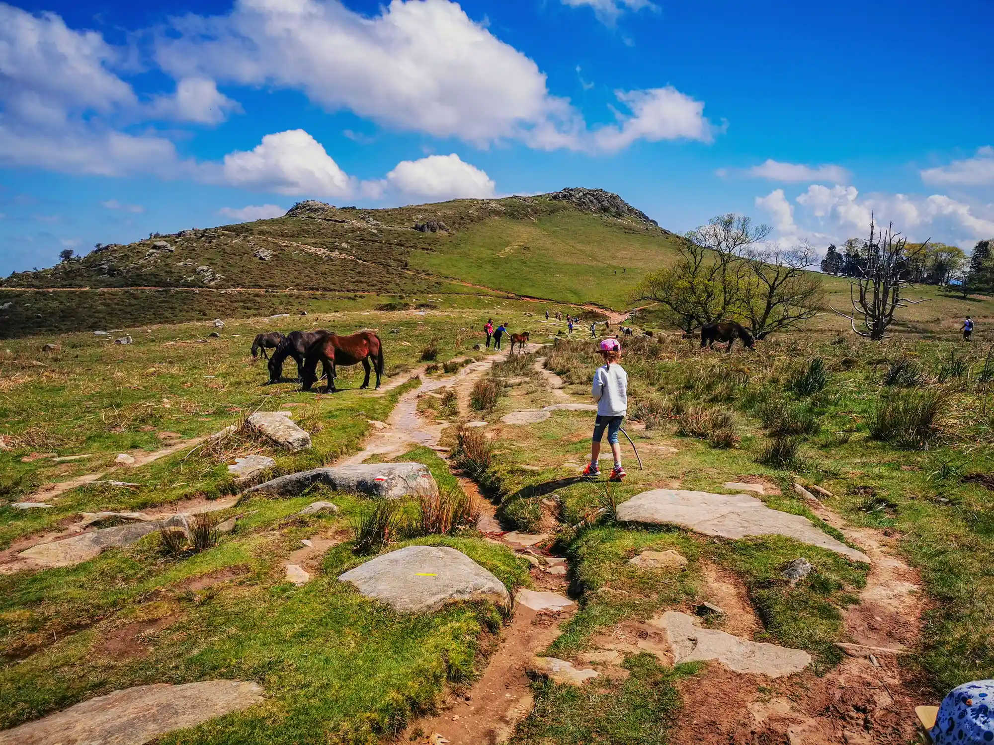 randonnees pays basque