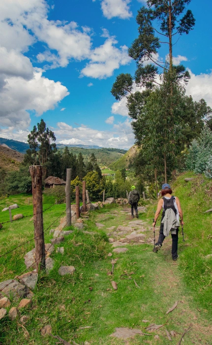 Senderismo en un paisaje verde de montaña.